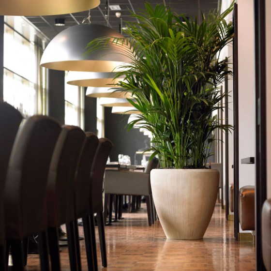 planten-gallery-05
