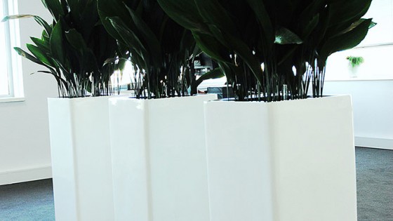 planten-gallery-06